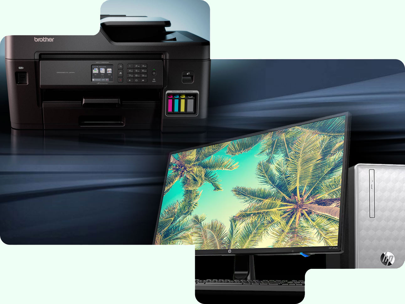 Esperienza consolidata nel settore