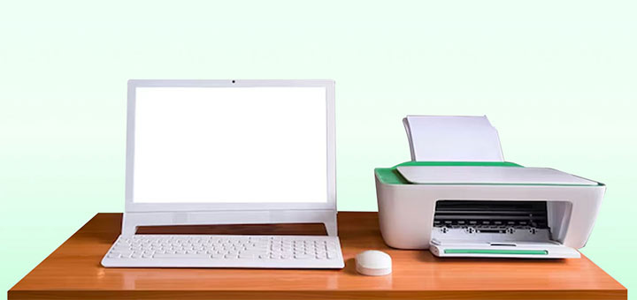 Green Office: vendita e assistenza